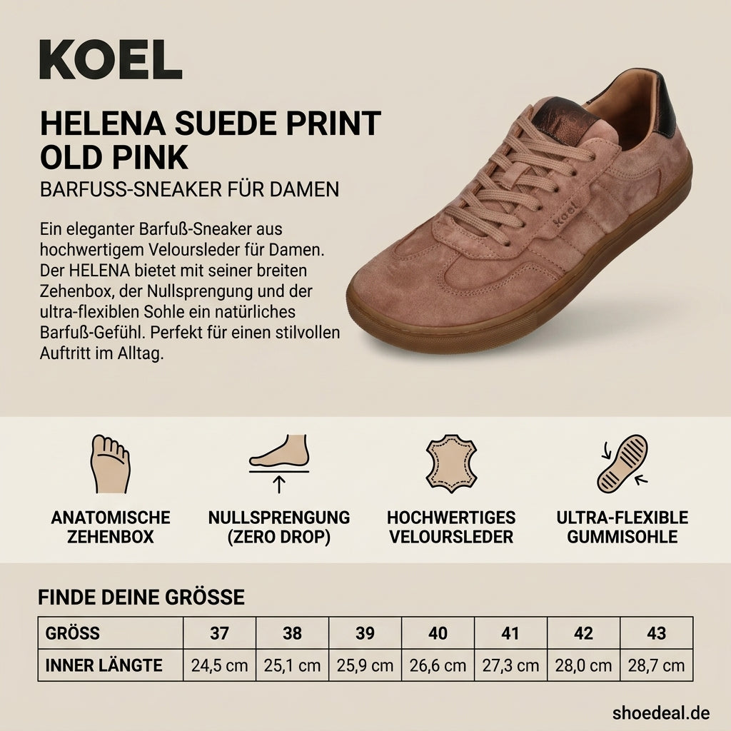 KOEL Helena Suede Old Pink Barfuß-Sneaker für Damen aus Altrosa Veloursleder mit breiter Zehenbox, Nullsprengung, biegsamer Gummisohle und metallisch glänzendem Fersenakzent auf beigefarbener Produkt-Infografik von shoedeal.de.