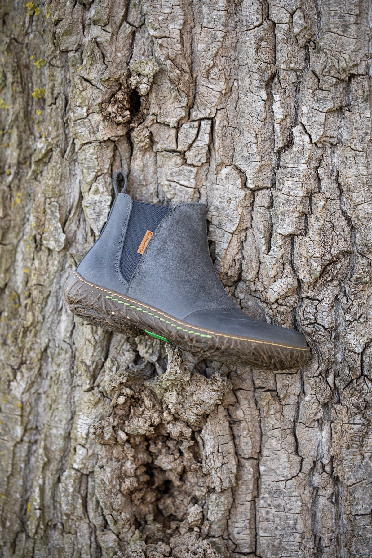 El Naturalista Chelsea Boot vor natürlicher Baumrinde – von der Natur inspiriertes Schuhdesign | shoedeal.de