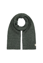 BARTS Herrenschal Scarf SKAGA army