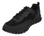TIMBERLAND in Übergröße - LINCOLN PEAK LITE LOW LACE UP - black