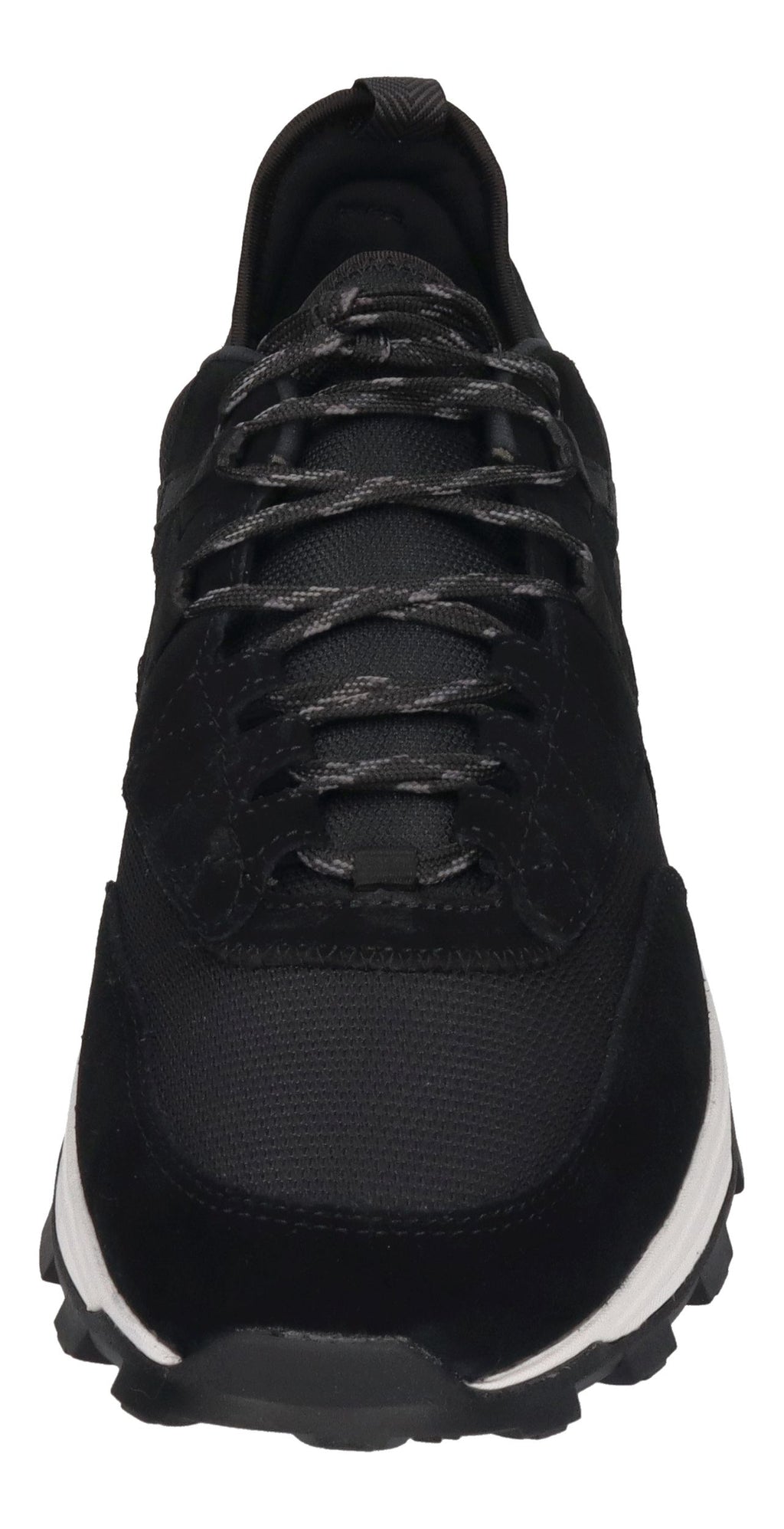 TIMBERLAND Sneakers in Übergröße TREELINE A65CC - black