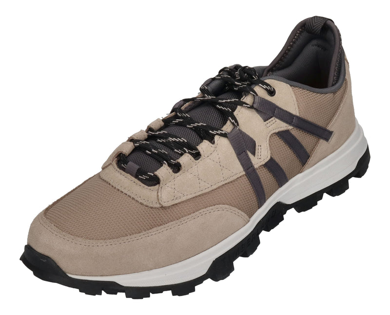 TIMBERLAND Sneakers in Übergröße TREELINE A65G4K5 taupe