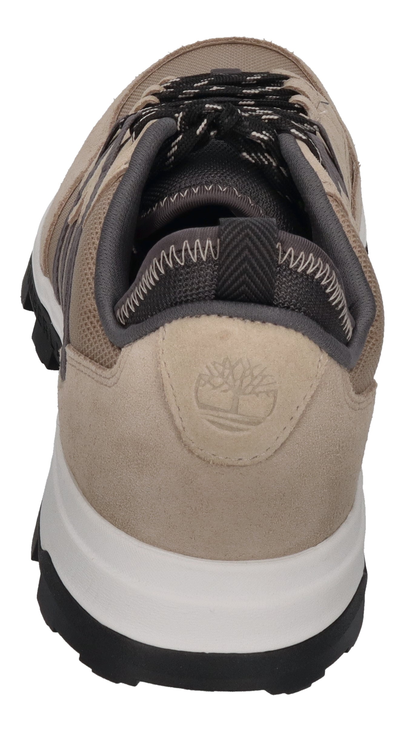 TIMBERLAND Sneakers in Übergröße TREELINE A65G4K5 taupe