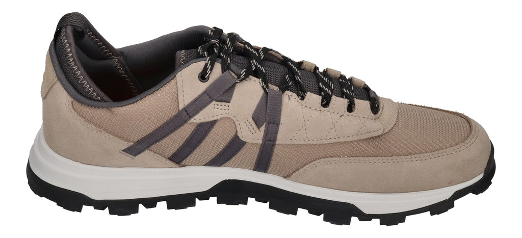 TIMBERLAND Sneakers in Übergröße TREELINE A65G4K5 taupe