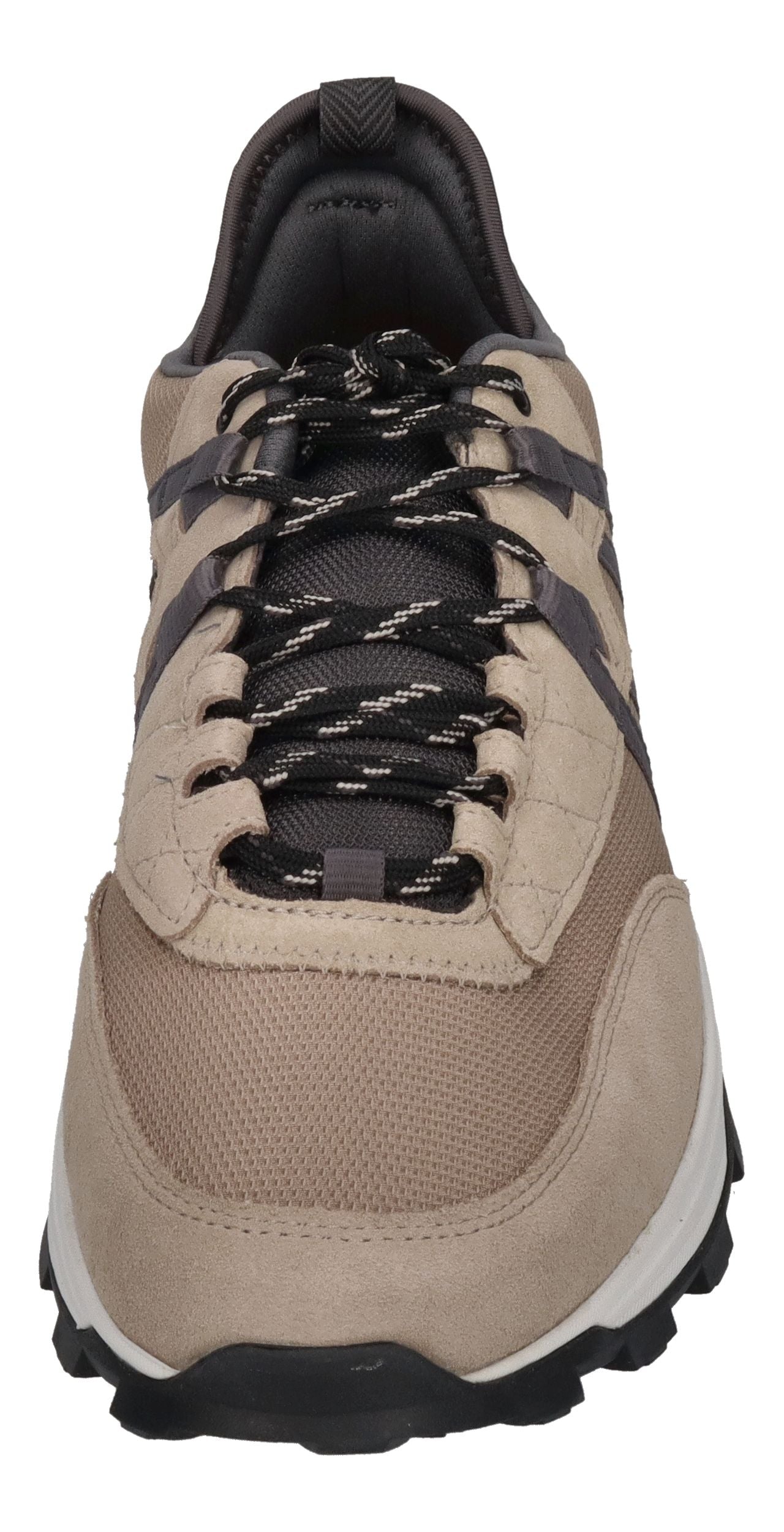 TIMBERLAND Sneakers in Übergröße TREELINE A65G4K5 taupe